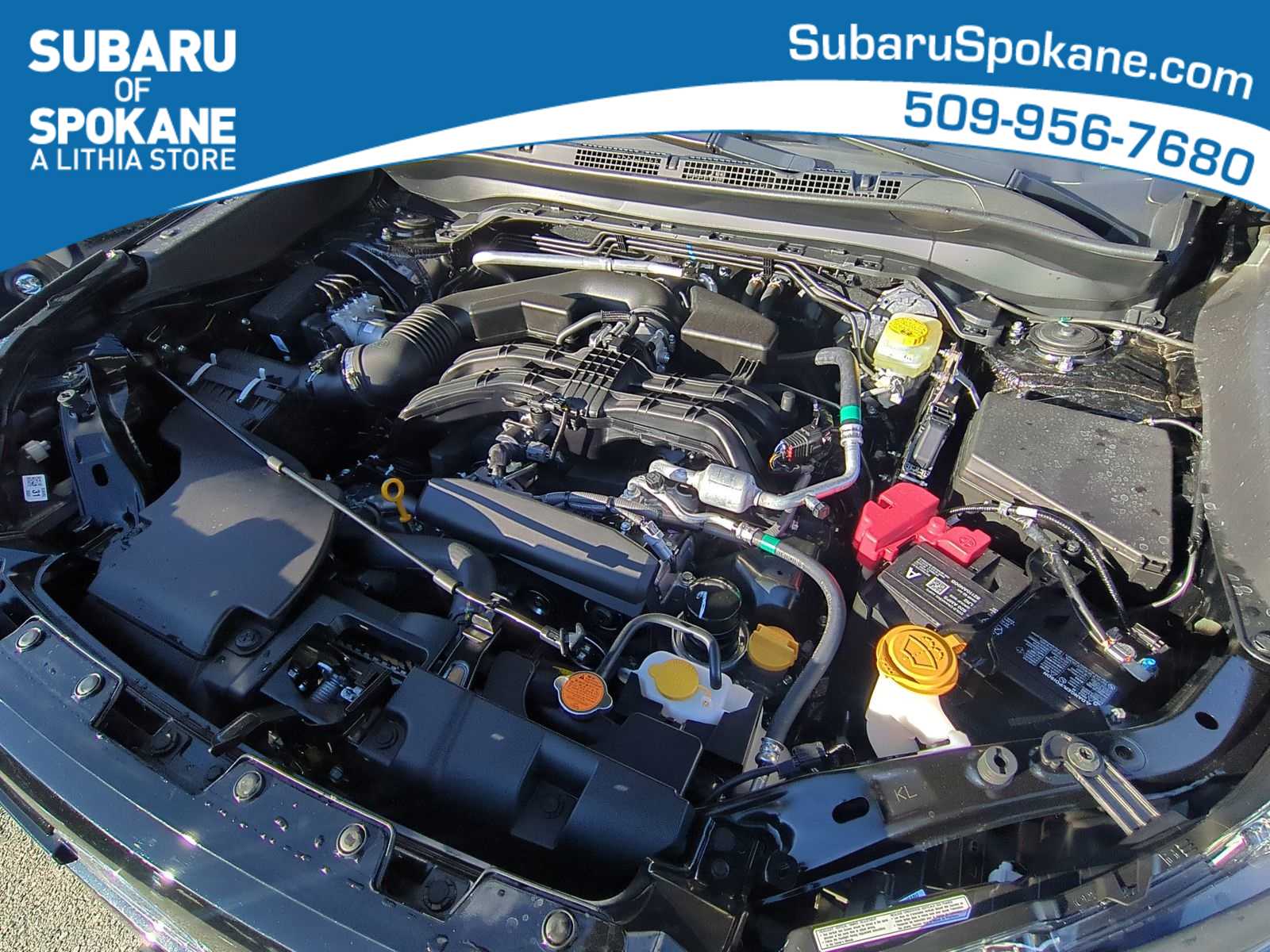 Thumbnail: 2026 Subaru Forester - 15