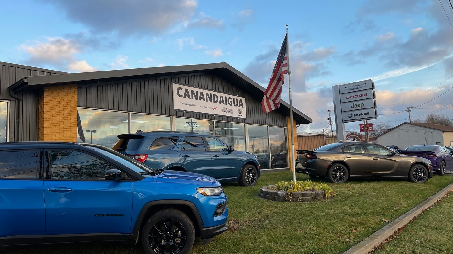 dealer1.jpg