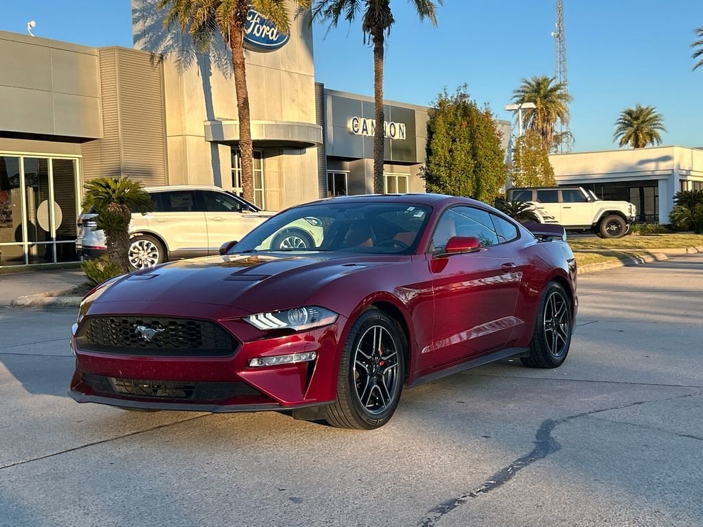 2019 Ford Mustang 