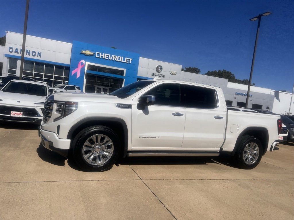 2023 Gmc Sierra 1500 Denali photo 4