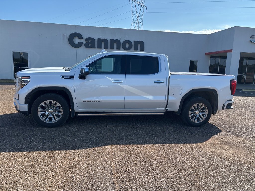 2023 Gmc Sierra 1500 Denali photo 2
