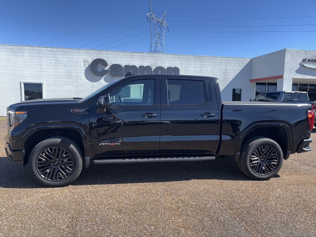 2023 Gmc Sierra 1500 AT4X photo 2
