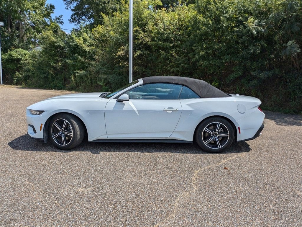 Used 2024 Ford Mustang EcoBoost with VIN 1FAGP8UH9R5106574 for sale in Laurel, MS