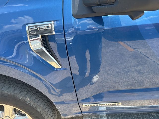 2024 Ford F-150 XLT - Photo 12