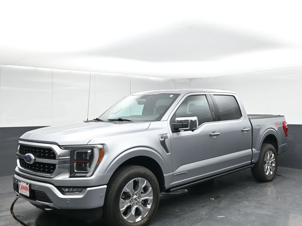 2021 Ford F-150 Platinum photo 4