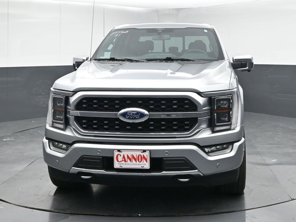 2021 Ford F-150 Platinum photo 3