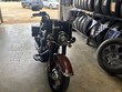  Harley-Davidson Softail