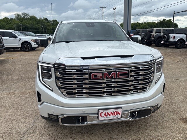 2024 Gmc Sierra 1500 Denali photo 4