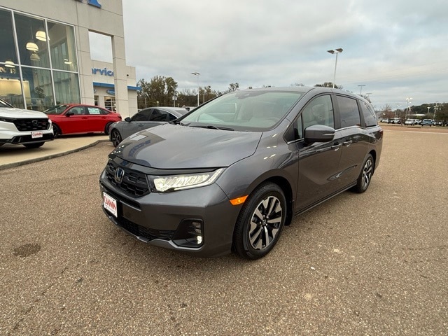 2026 Honda Odyssey Elite's photo