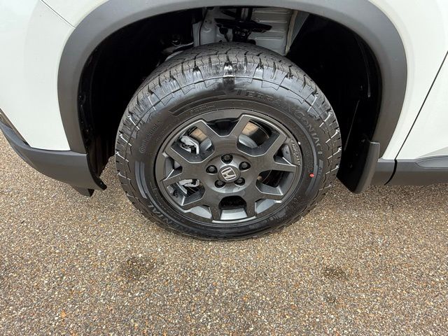 2025 Honda Pilot TrailSport - Photo 9