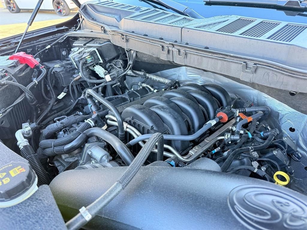 Used 2024 Ford F-150 XL Truck