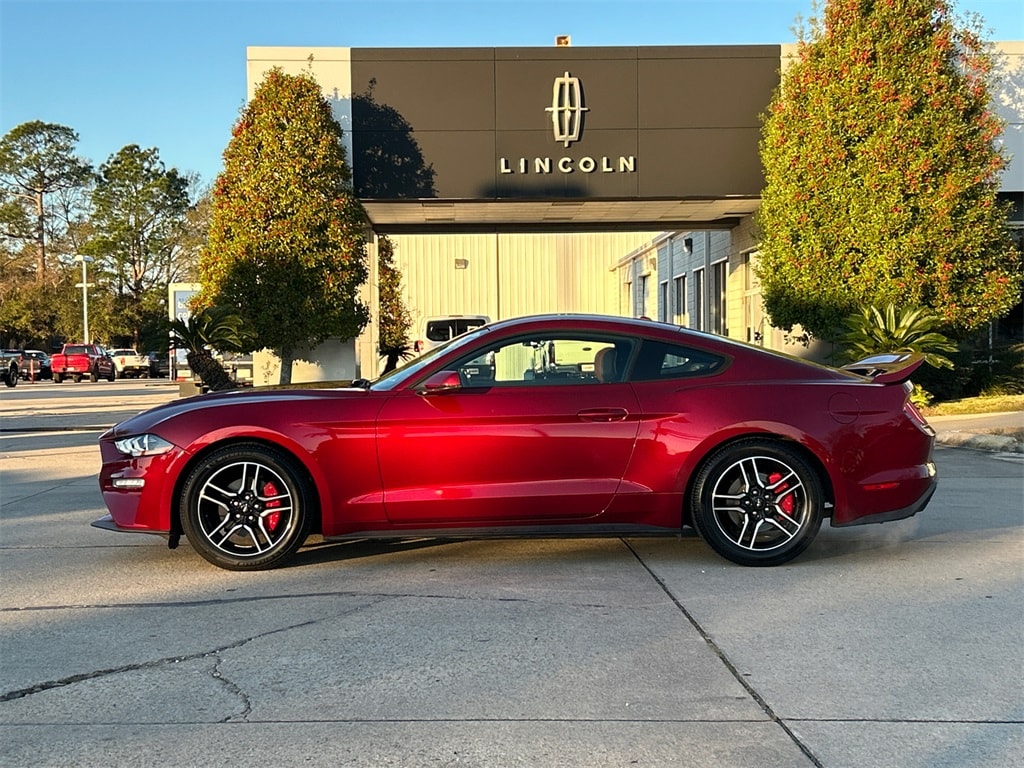 Used 2019 Ford Mustang EcoBoost Premium with VIN 1FA6P8TH0K5152538 for sale in Pascagoula, MS