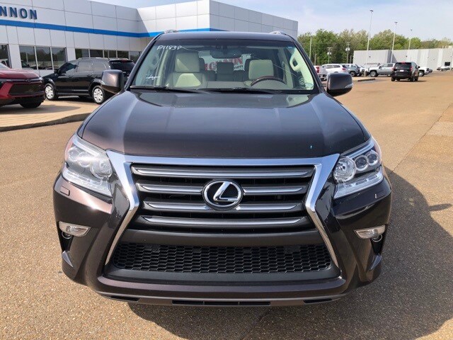 2018 Lexus GX 460 photo 3