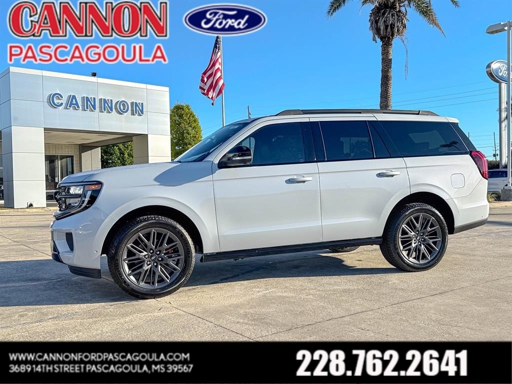 2025 Ford Expedition Platinum's photo