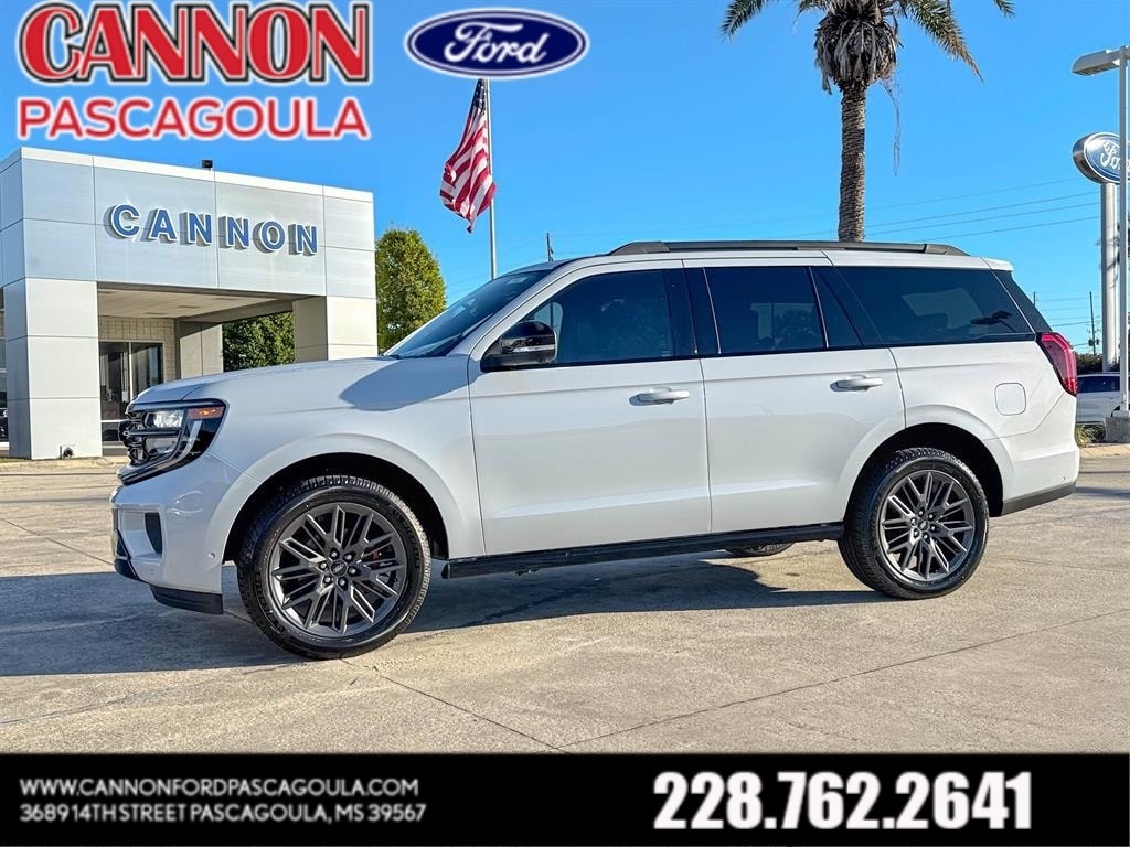 2025 Ford Expedition Platinum's photo