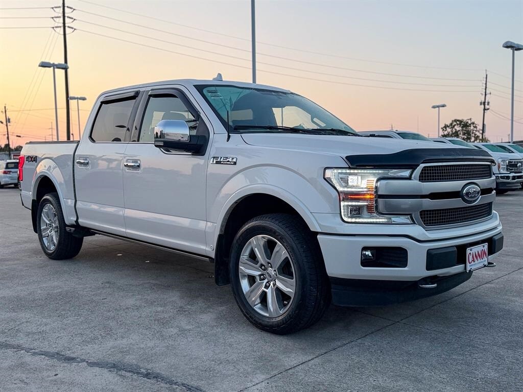 2019 Ford F-150 Platinum photo 3