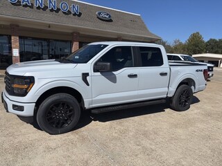 2025 Ford F-150 STX Truck