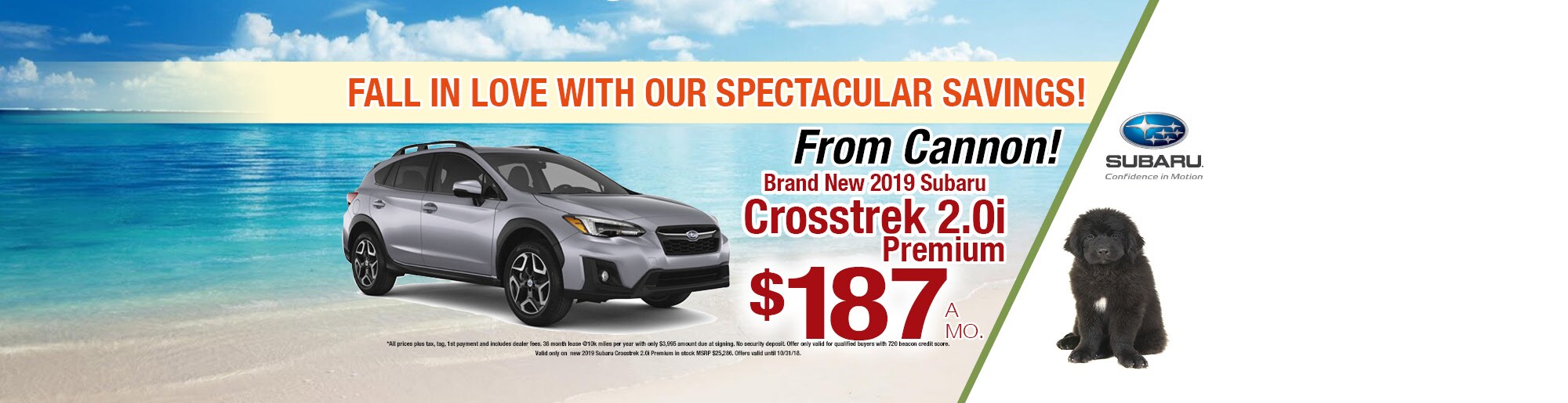 CS - CROSSTREK .jpg