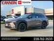 Toyota BZ Woodland
