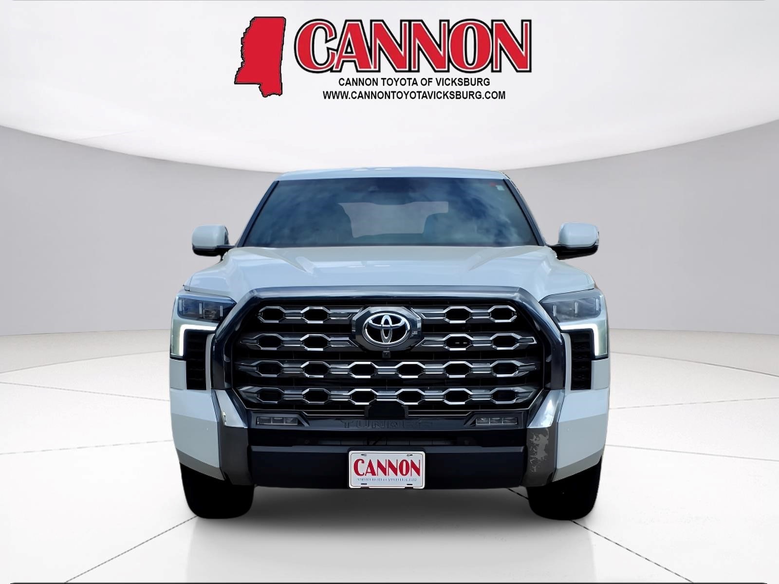2025 Toyota Tundra Platinum - Photo 8