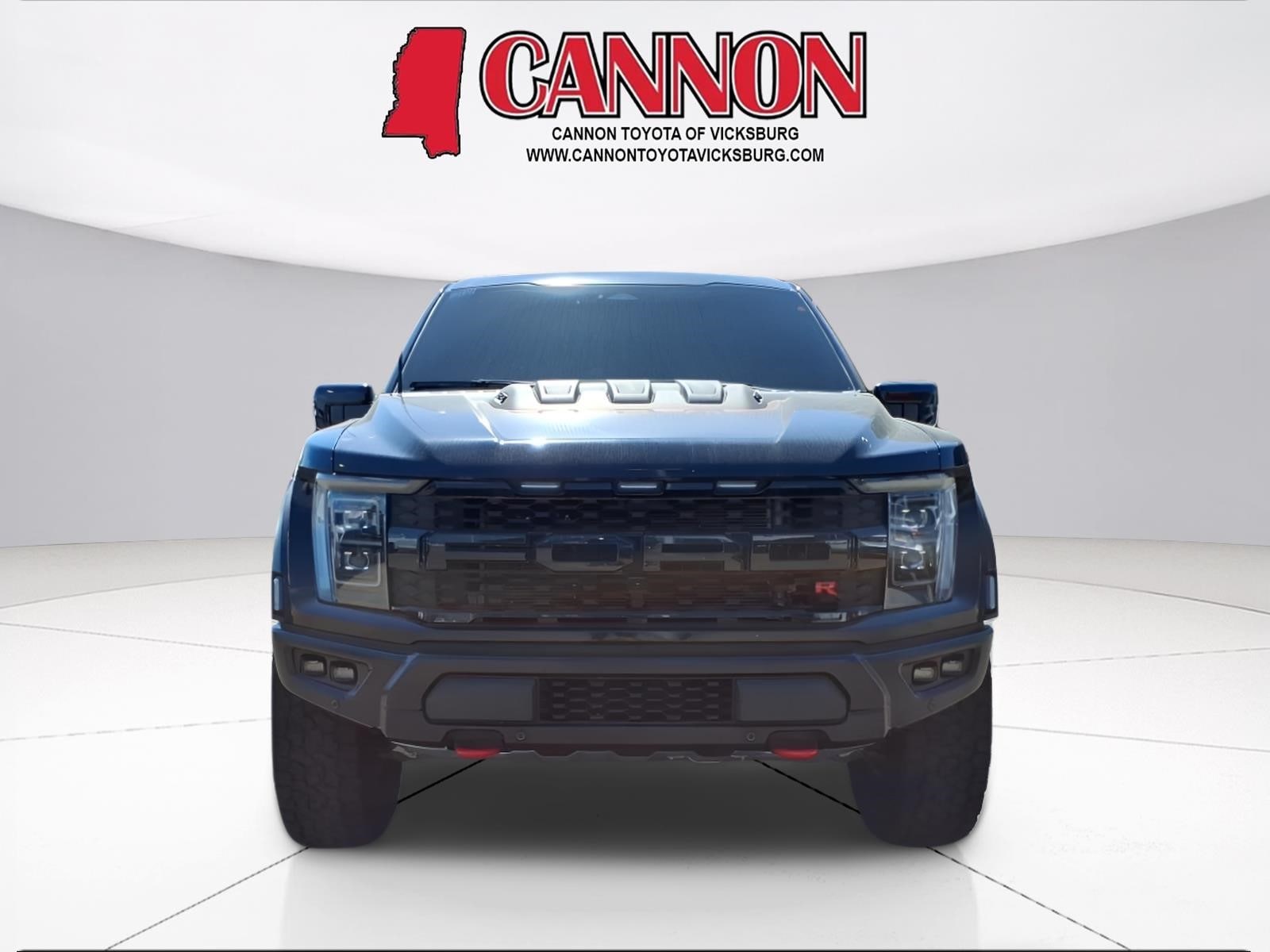 2023 Ford F-150 Raptor - Photo 8