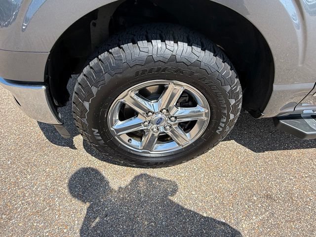 2024 Ford F-150 XLT - Photo 11