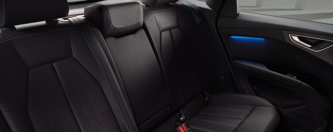 Interior%202.jpg