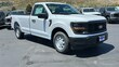 Ford F-150 Series