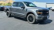 Ford F-150 Series