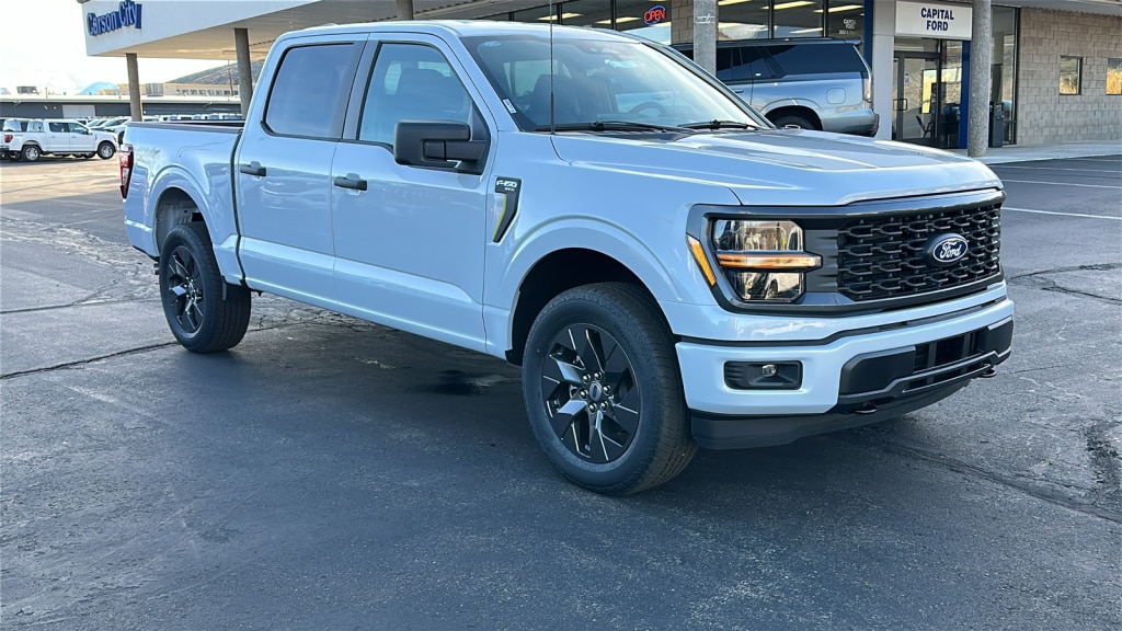 2025 Ford F-150 STX's photo