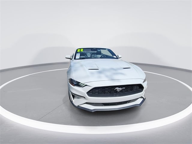 Used 2022 Ford Mustang EcoBoost Premium with VIN 1FATP8UH3N5100892 for sale in Cary, NC