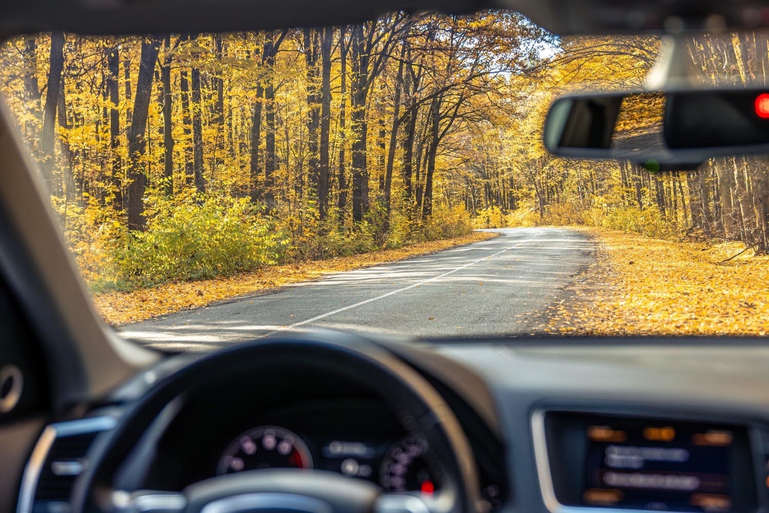 What Makes BMW South Albany a Helpful Spot in Fall.jpg