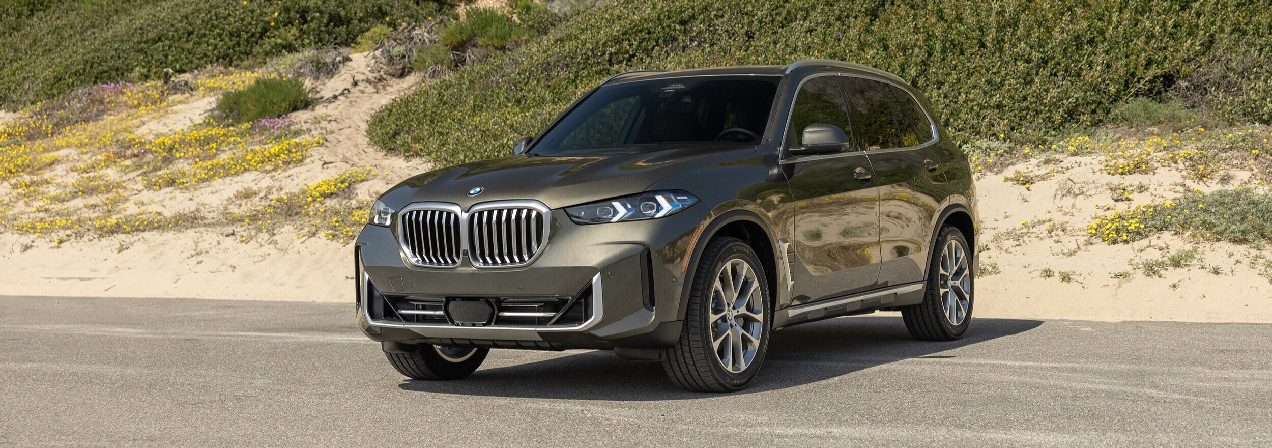 2025 BMW X5