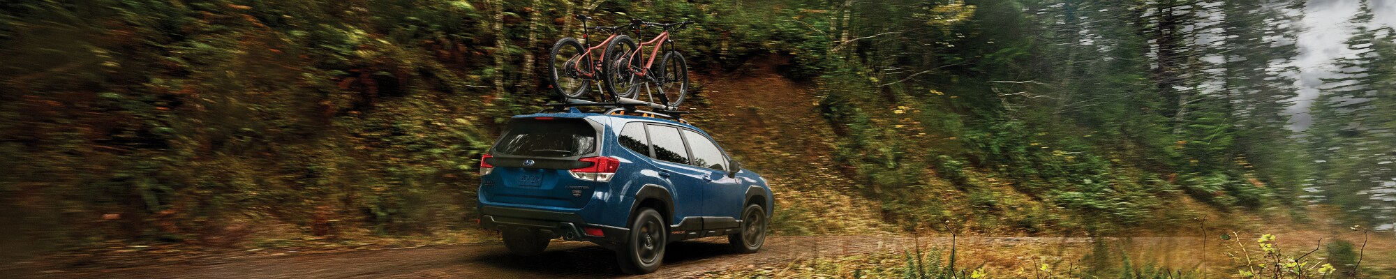 Subaru Forester Wilderness Subaru Forester Wilderness