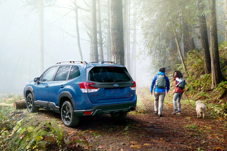 Subaru Forester Wilderness Subaru Forester Wilderness