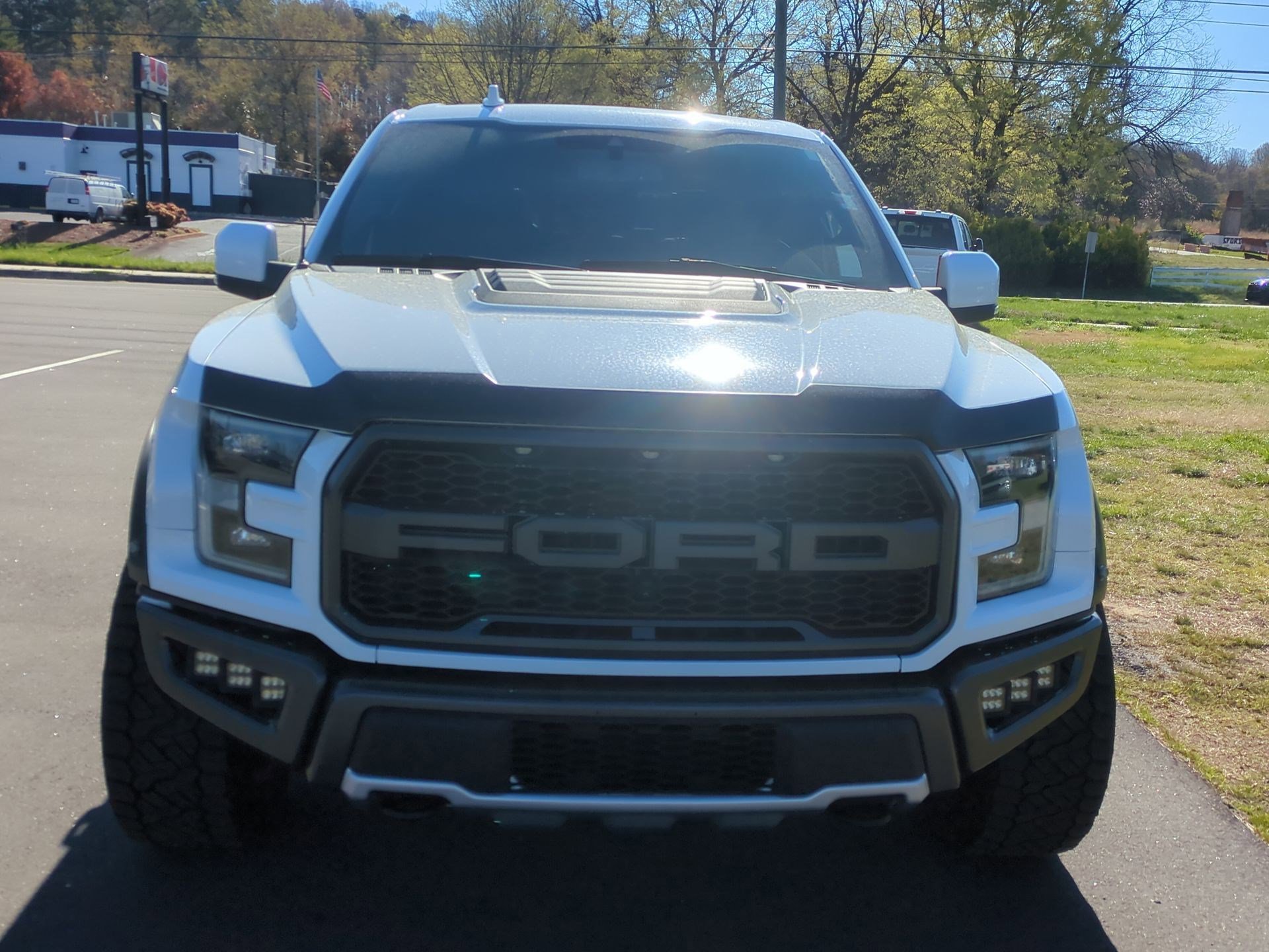 2019 Ford F-150 Raptor - Photo 8