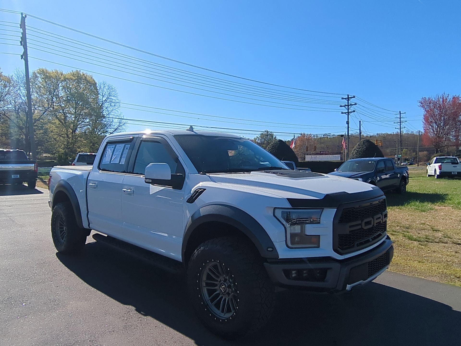 2019 Ford F-150 Raptor - Photo 7