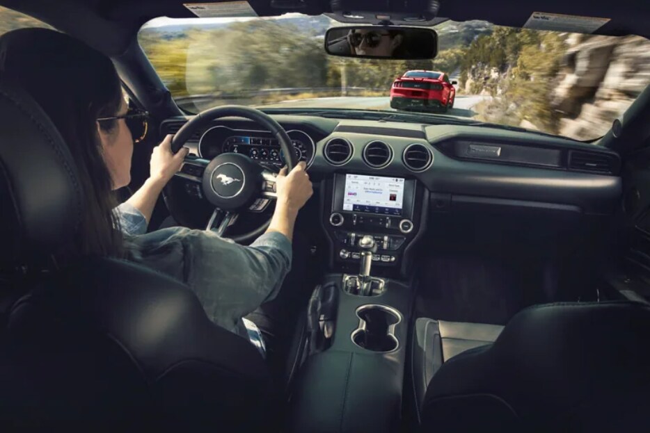 Mustang 4.png