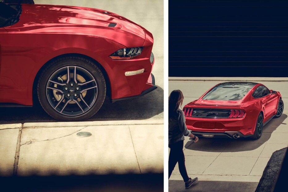 Mustang 2.png