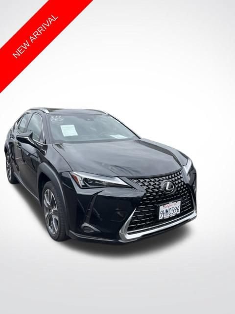 2024 Lexus UX 300h 250h's photo