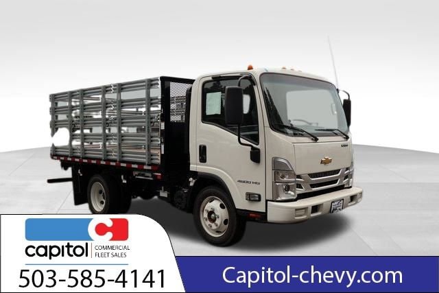 2025 Chevrolet Low Cab Forward 4500 Gas 176" WB Regular Cab's photo