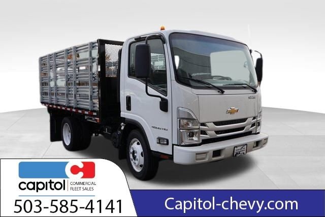 2025 Chevrolet Low Cab Forward 4500 Gas 176" WB Regular Cab's photo