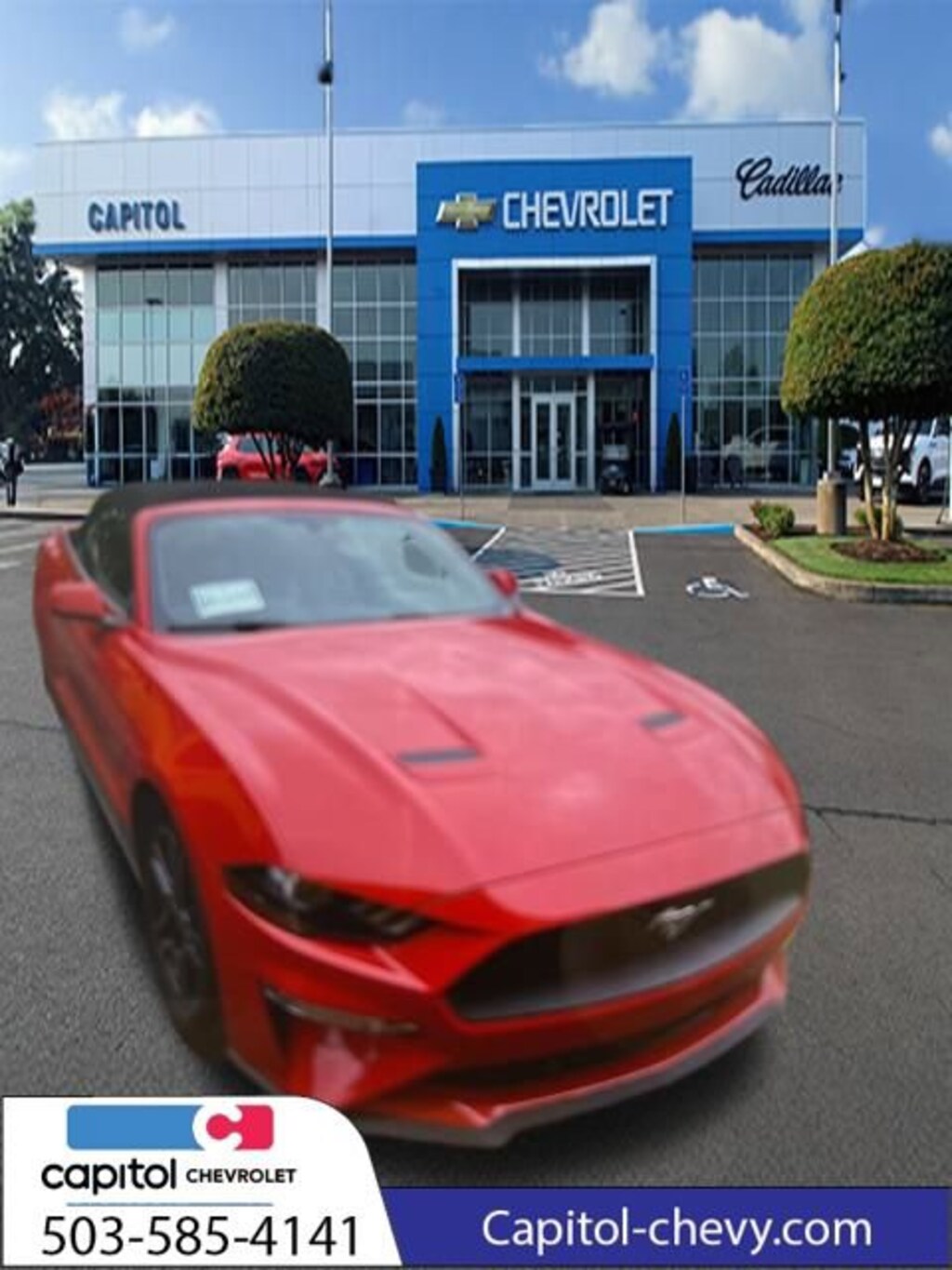 Used 2019 Ford Mustang Ecoboost