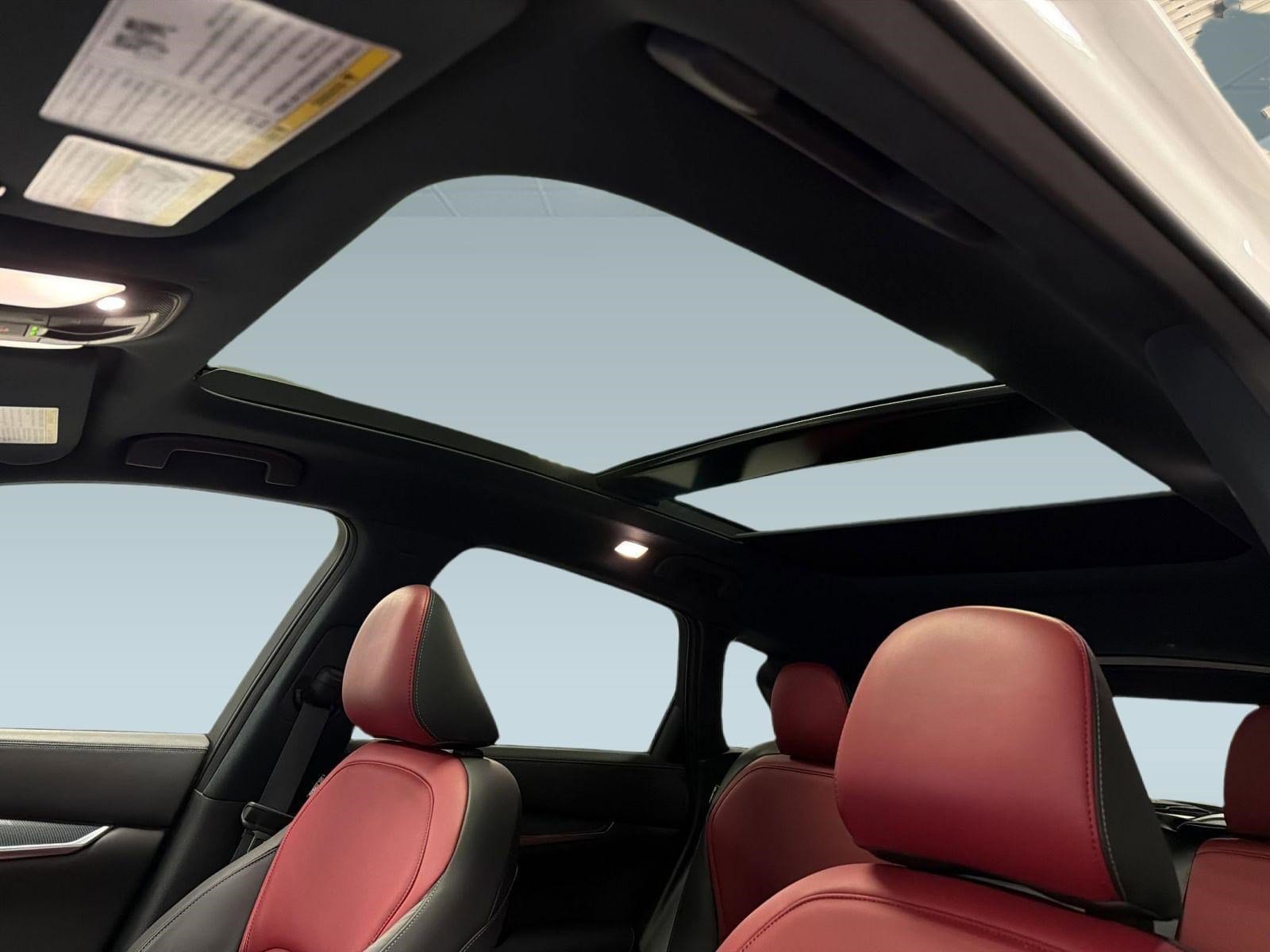 2023 INFINITI QX50 Sport - Photo 15