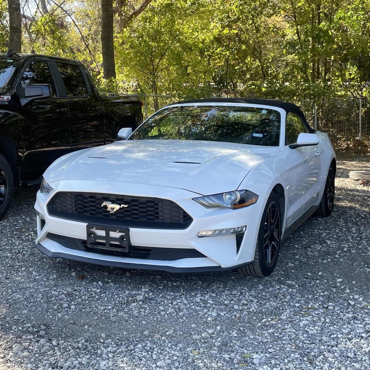 2022 Ford Mustang EcoBoost's photo