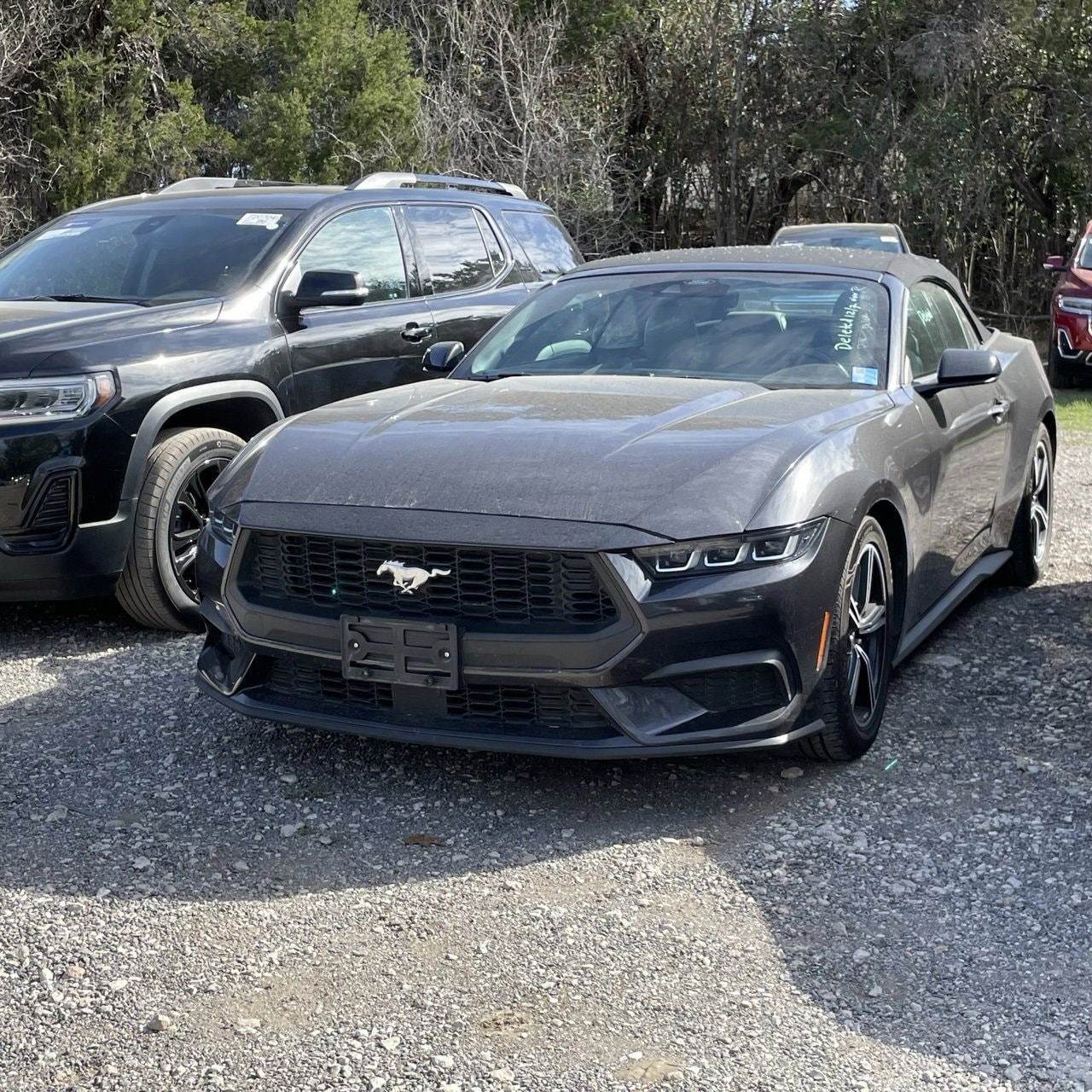 2024 Ford Mustang EcoBoost's photo