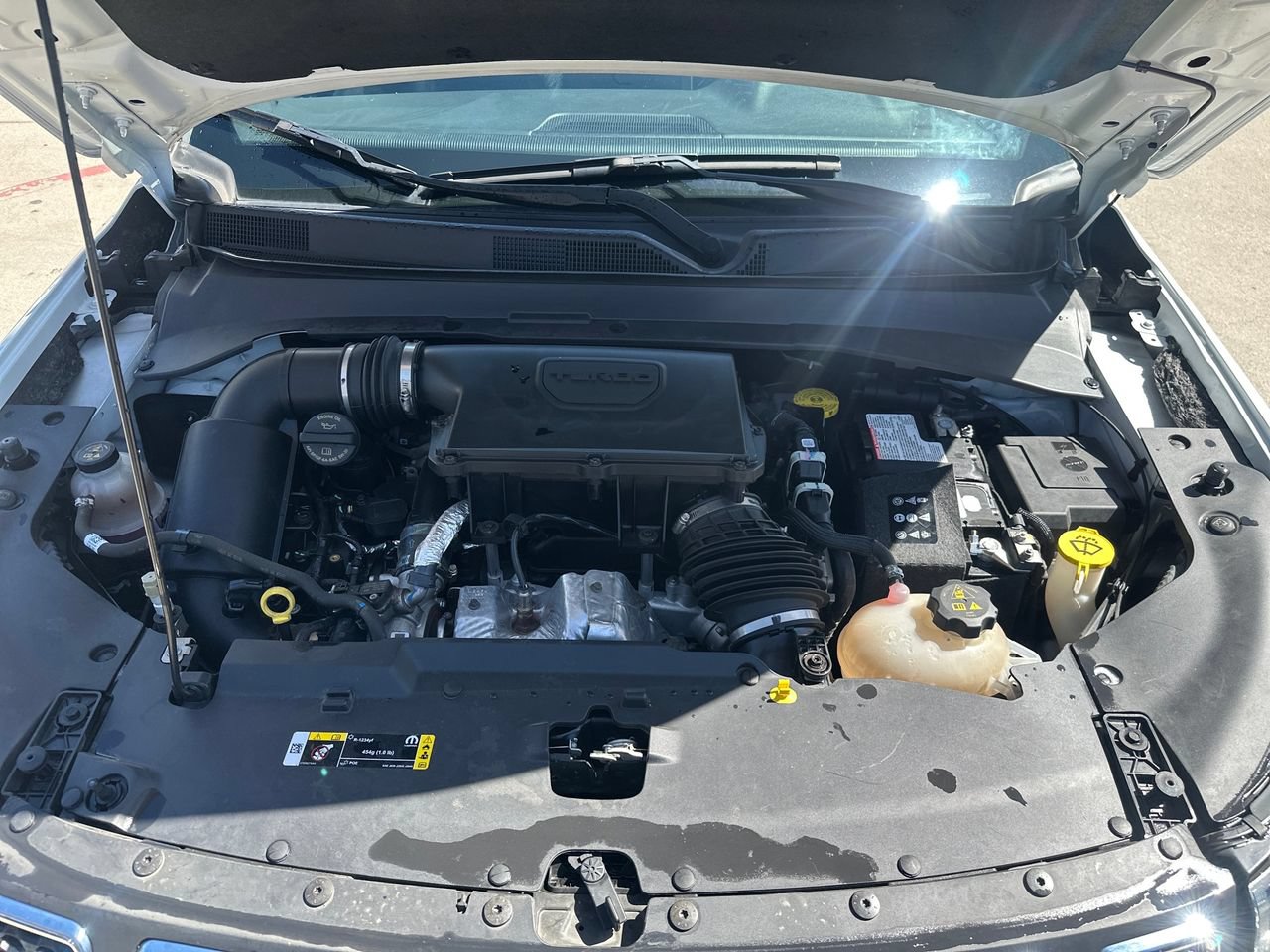 Photo 19