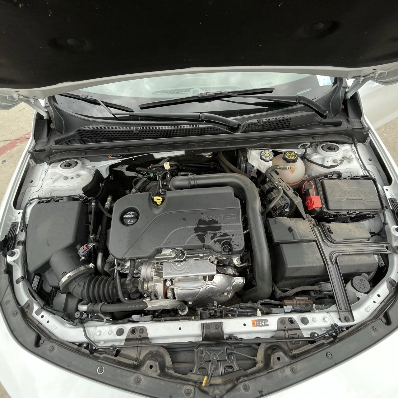 View 25