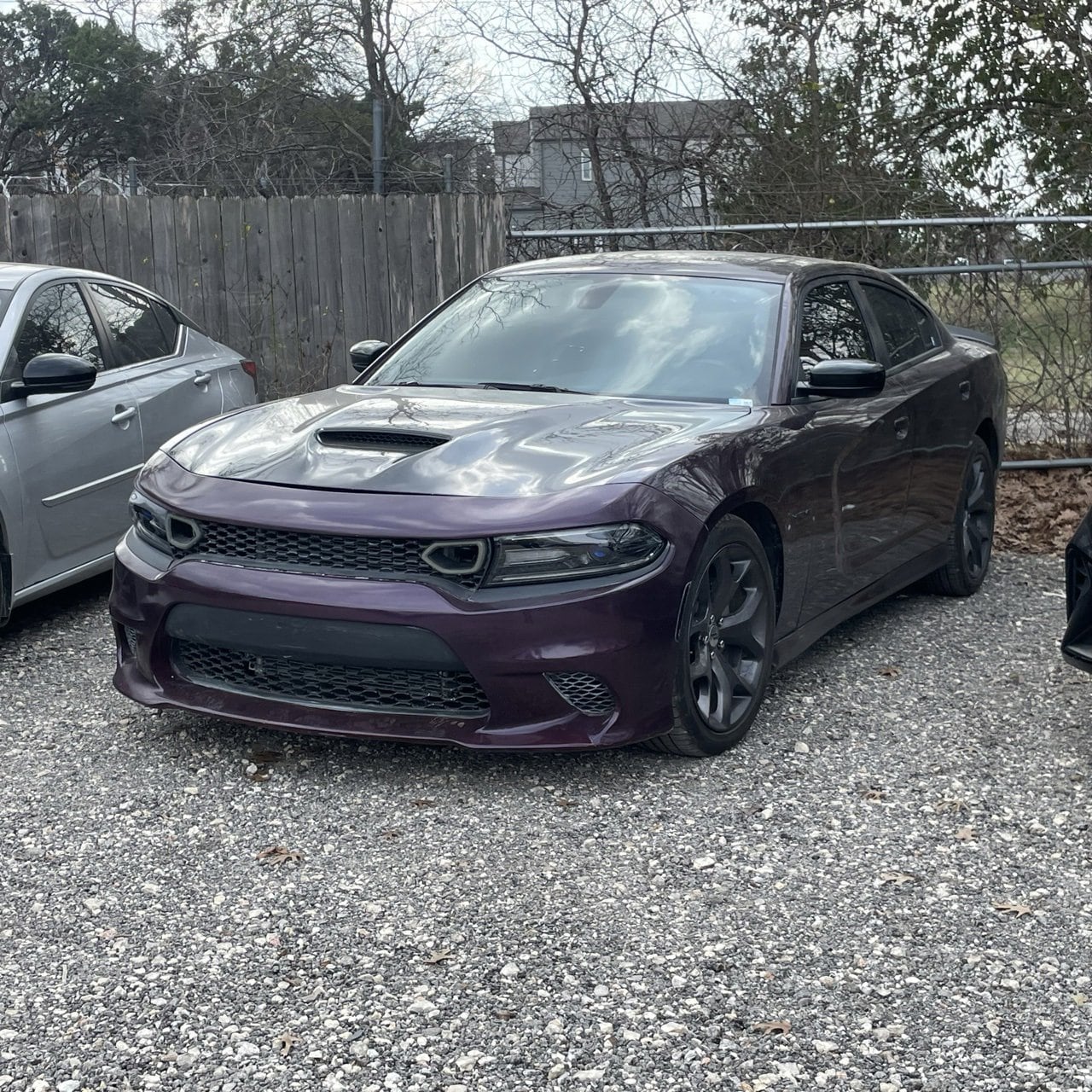 2022 Dodge Charger R/T's photo