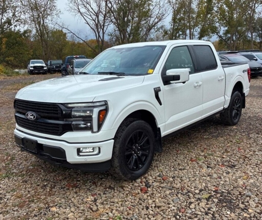 Used 2024 Ford F-150 Platinum Truck